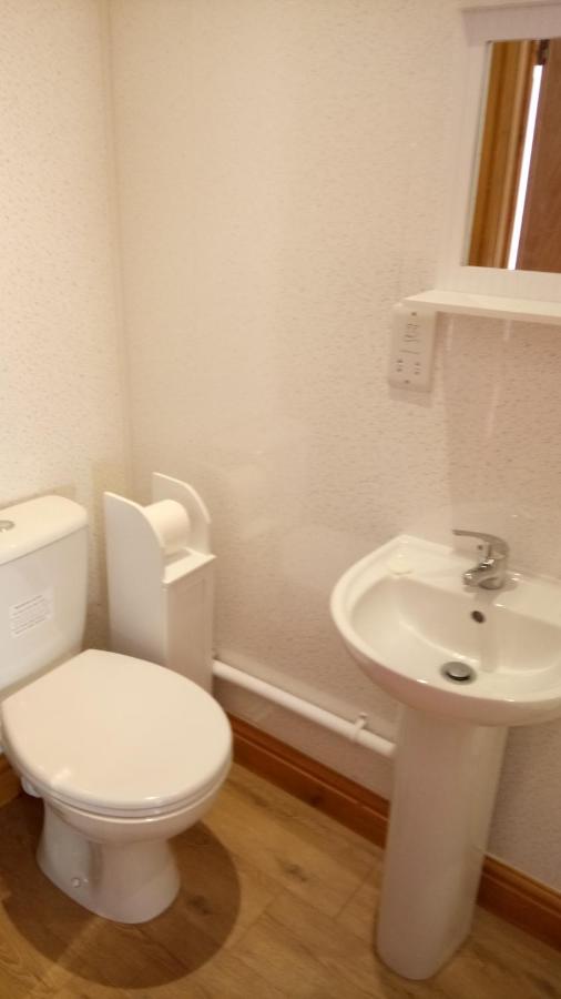 Y Llew Coch Hotel Tregaron Ngoại thất bức ảnh